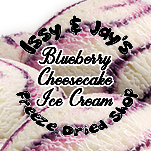 Freeze Dried Blueberry Cheesecake Ice Cream